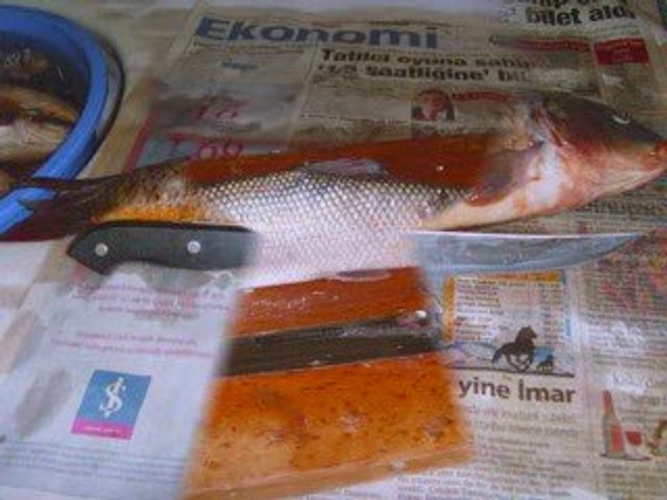 DELİHAKKI SAZAN SLAYT