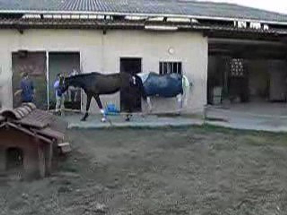 olten marche 23 aout