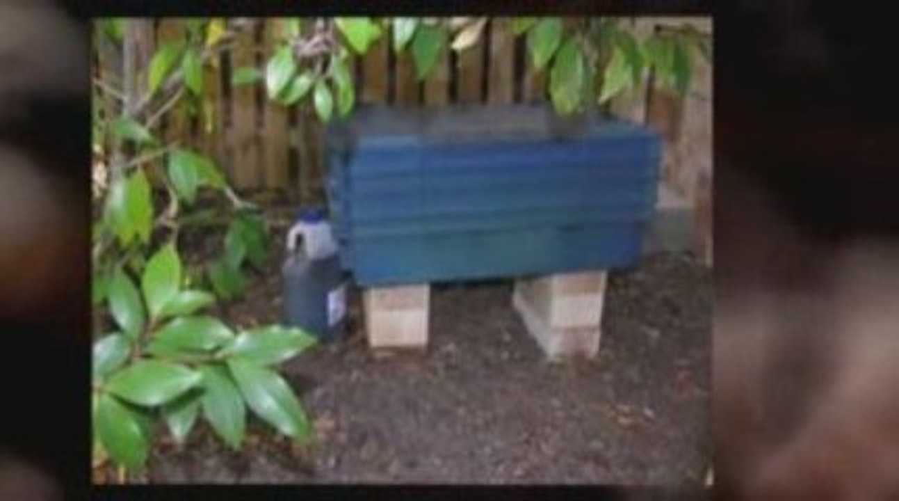 Start Worm Composting Now