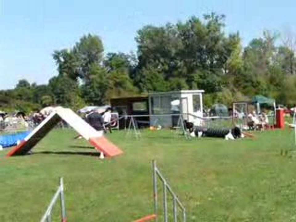 23/08/2009(1)  Concours Agility
