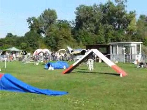 23/08/2009 (4) Concours d'Agility