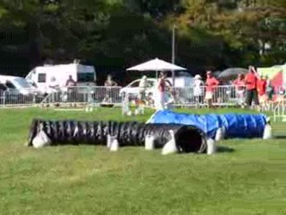 23/08/2009 (5) Concours d'Agility