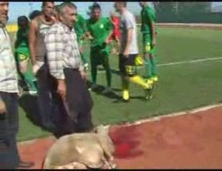 Darıca Gençler Birliği Sezon Açılışı