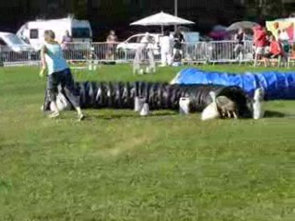 23/08/2009 (7) Concours d'Agility