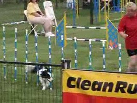 Tamy steeplechase 1 National 2009