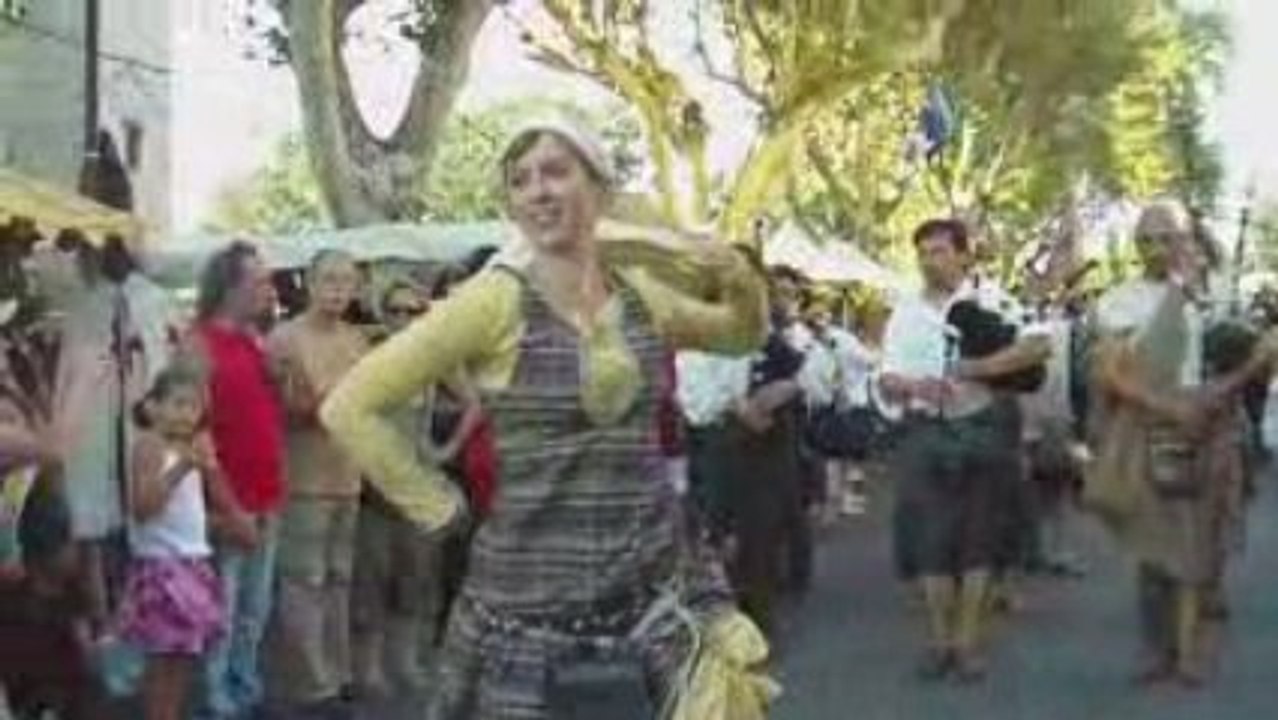 Médiévales de Tarascon - défilé 23 Août 09 - 2