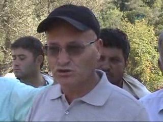 Kuşadası'ndaki Esrarengiz Arı Ölümleri