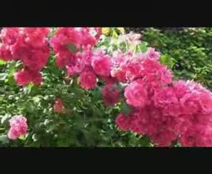 Baie de Somme les Jardins de Valloires