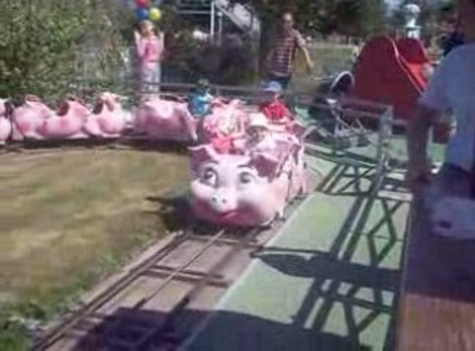 manege cochon