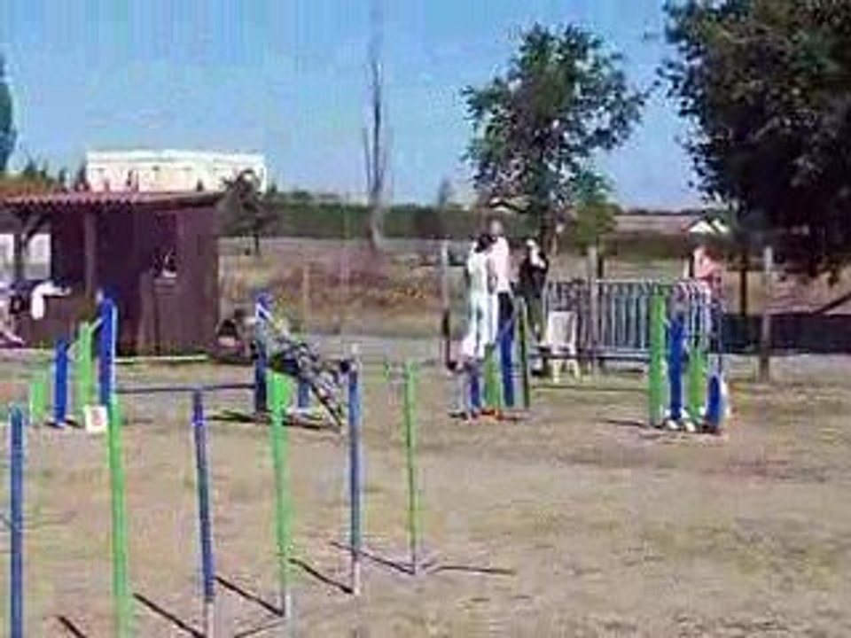 1er degré de Diamand