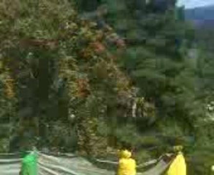 essai course de cote marlhes 22 aout 2009