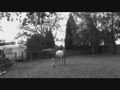 apprentissage de lla valse et du reculer par aspiration