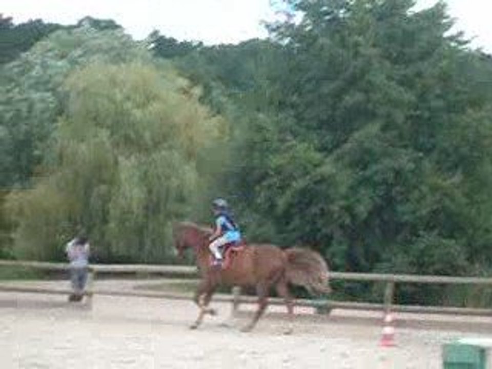 Mon ti chouW sur Forest