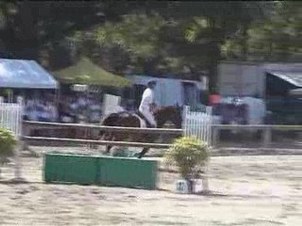 METEOR DE LONDE