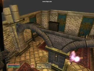 Sur le toit de la guilde des Mages