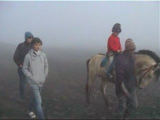 bromo ijen DivX 82Mo