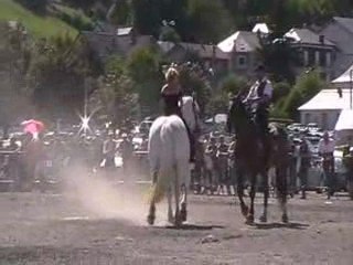 spectacle equestre le plus beau tango du monde
