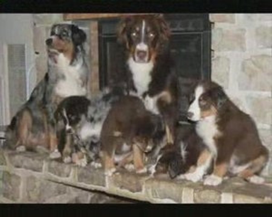 Les bébés partent à l'aventure