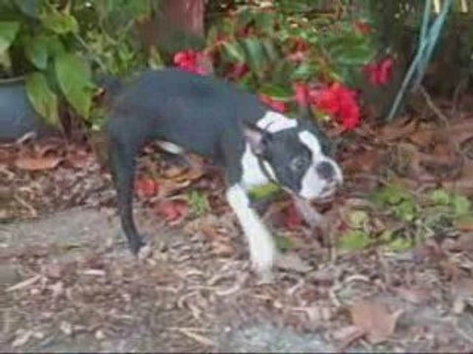 Balade à la campagne