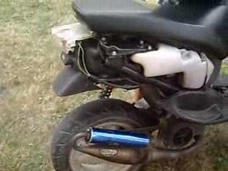 Ovetto sans courroie