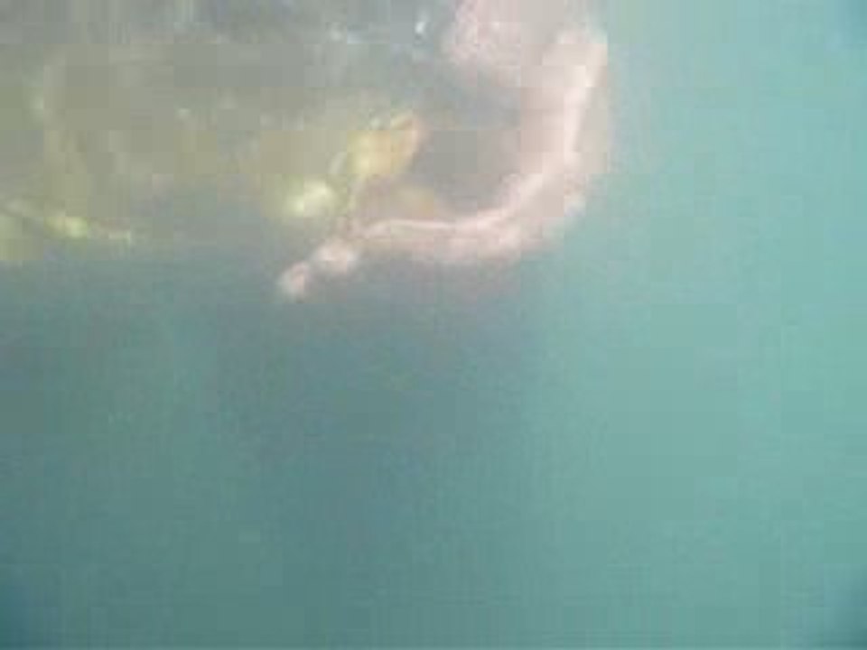 session inter-carp 13