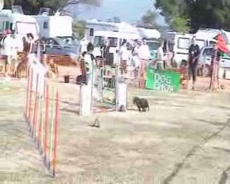 COGNAC AGILITY - GPF - VODKA - 12 07 09