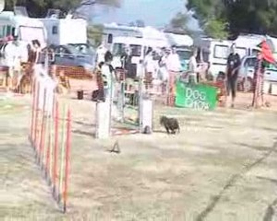 COGNAC AGILITY - GPF - VODKA - 12 07 09