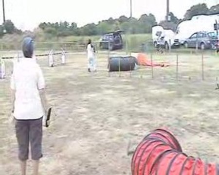 COGNAC AGILITY - JUMPING - VODKA - 12 07 09