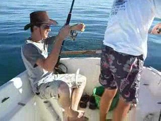 Duo de dodos par les zozos