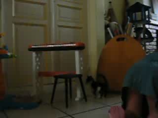 L'arrivée de Cassis à la maison