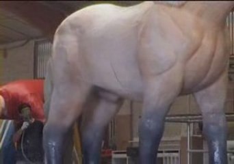 Plé Créateur ronds points visite ATELIER