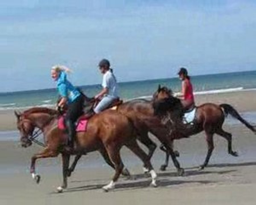 La playa avec les amis