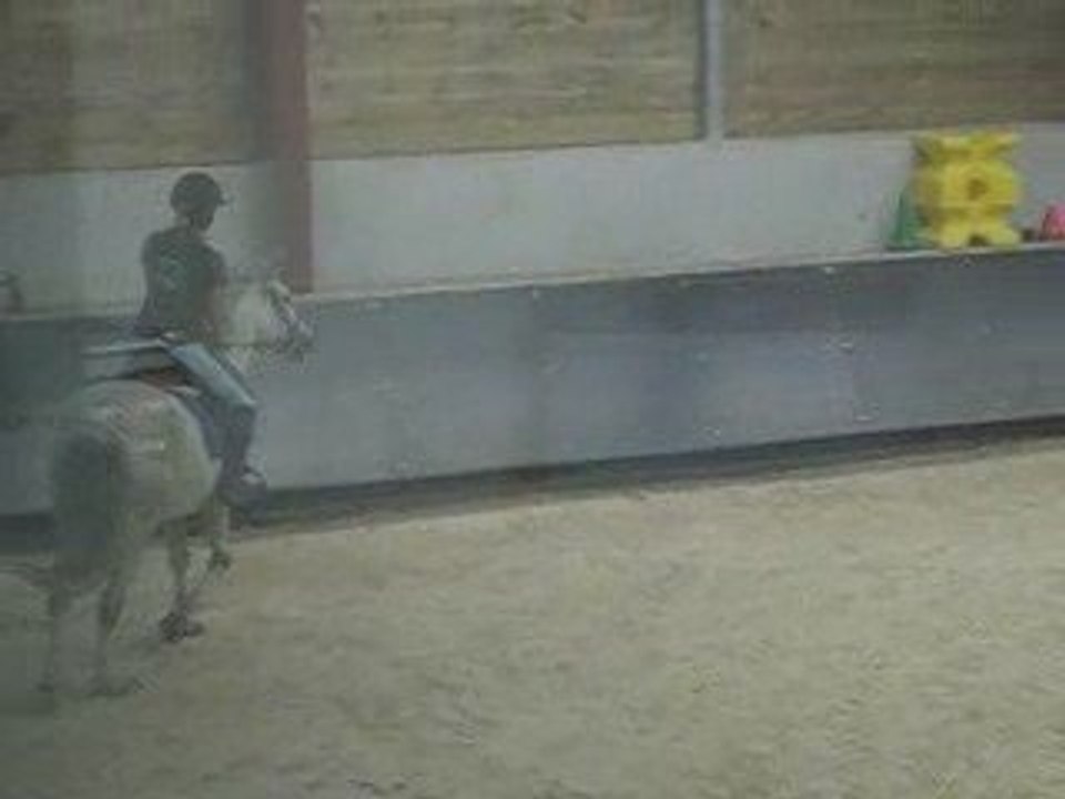 Luxor exercice au trot