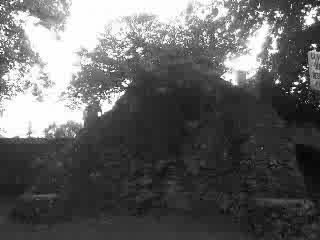 BORNY YAMAKASI TYSSD