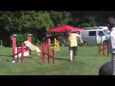 Salsa Jumping Agility Oyrières 23/08/2009