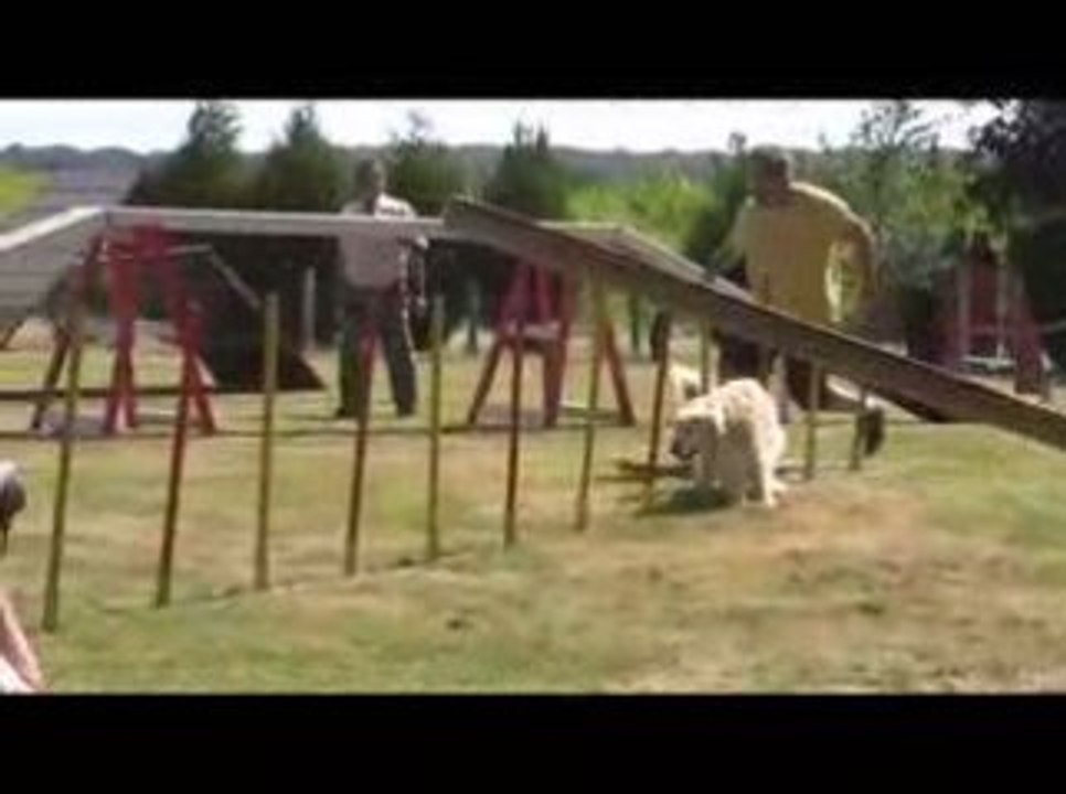 Salsa Degré Agility Oyrières 23/08/2009