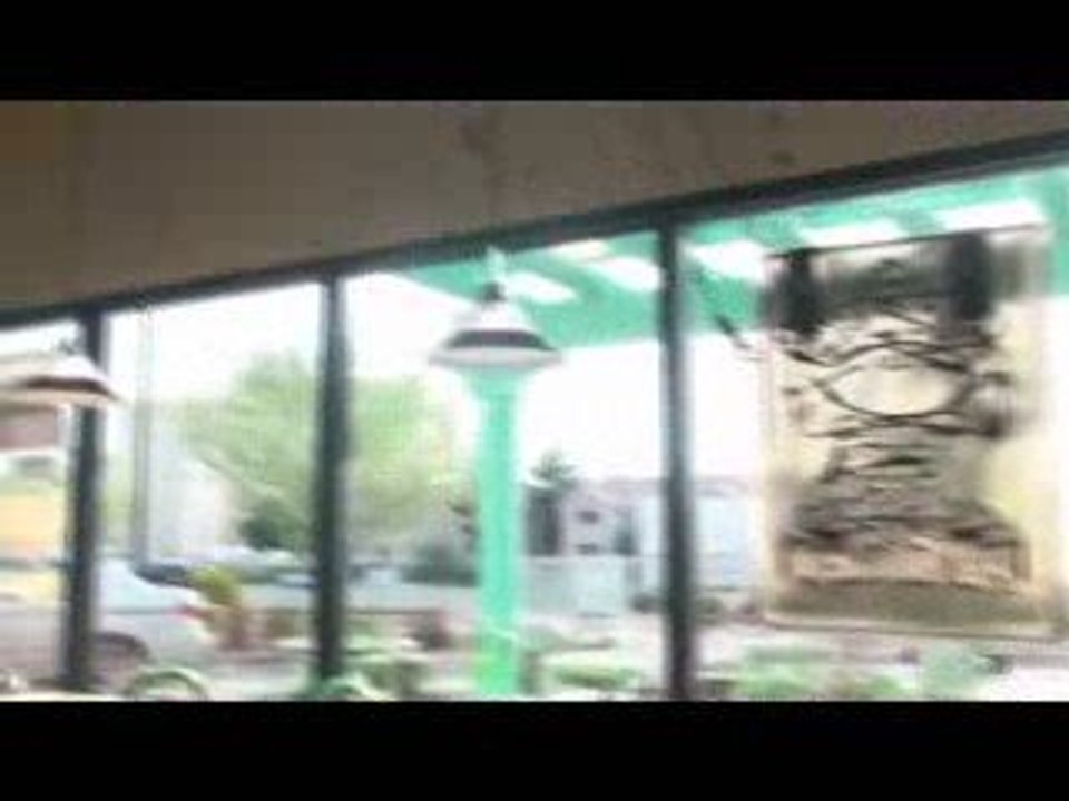 Cameron Ramsay - Magic Live 2009 - Day 3