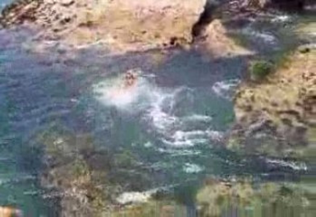 la famille a la mer tkt