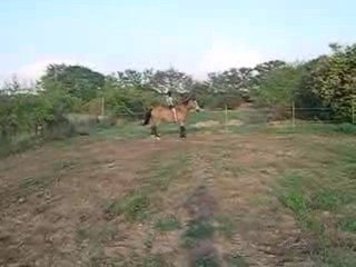 Saut du bidon monté =)