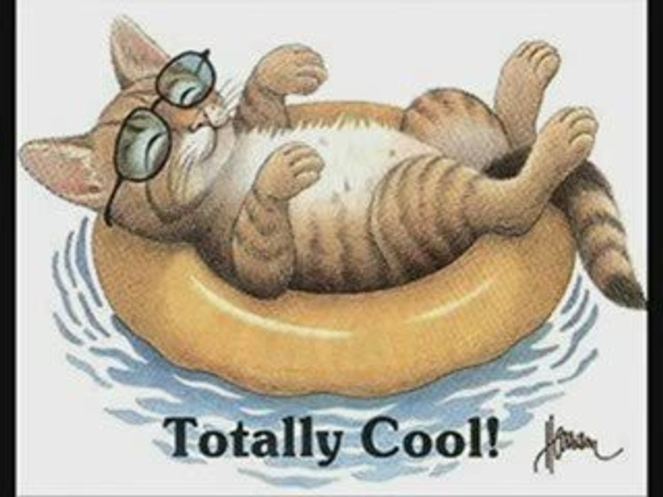 la sécurité de l'emploi