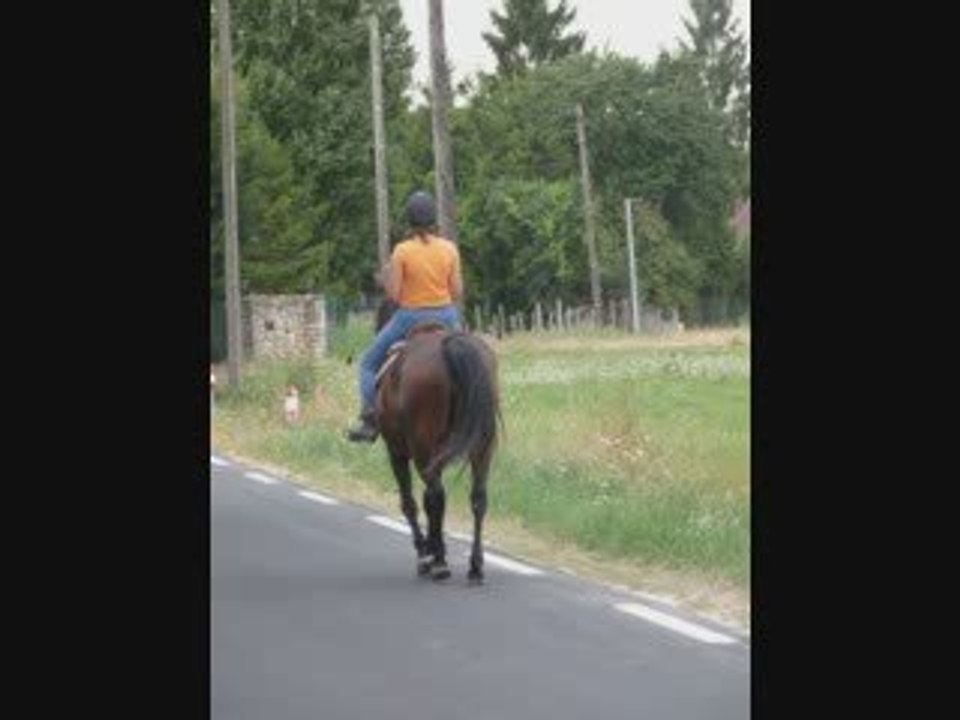 Razièle vient au galop