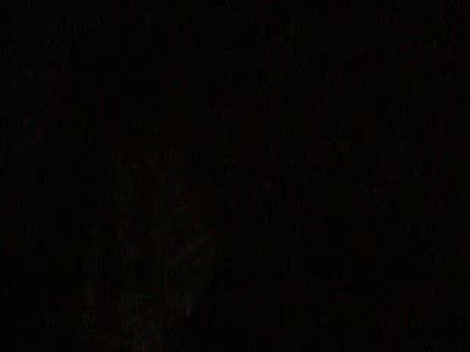 falsification de l'histoire