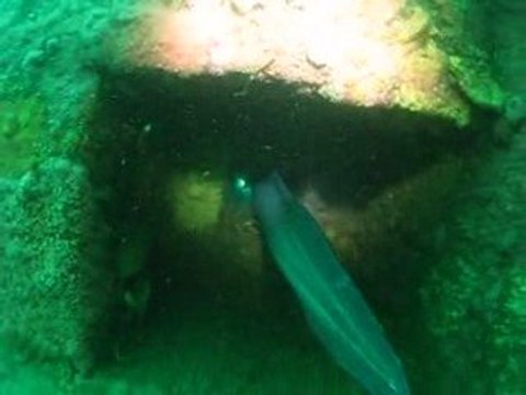 Plongée sur les blockhaus du Bassin d'Arcachon