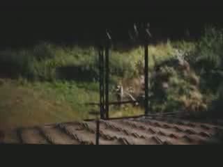 Vorstadtkrokodile partie1