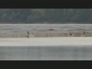 mascaret 2009 st pardon