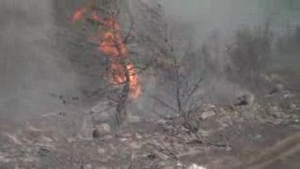 fwties stin eisodo tis kallitehnoupolis apo ntrafi kai ntaou