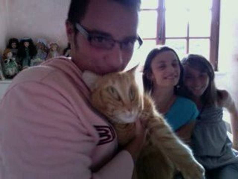 GROB gag vente de chatte tigrou