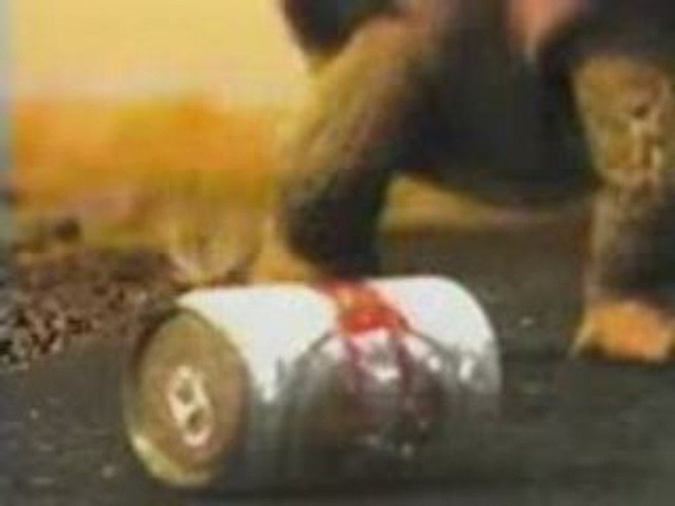 İçecek reklami çok komik