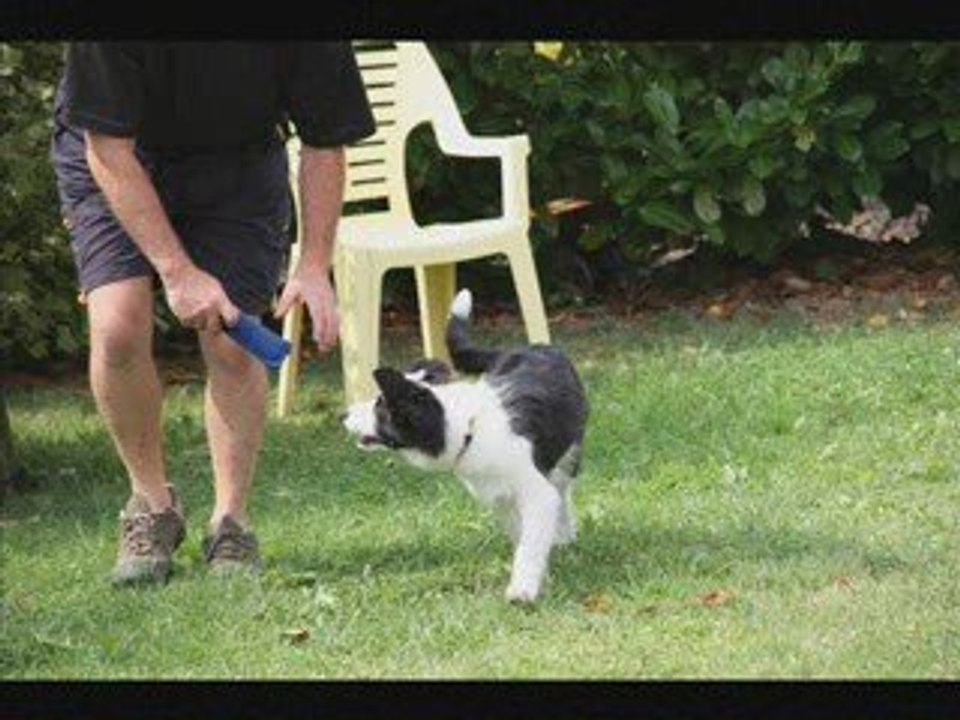 indy training 250809