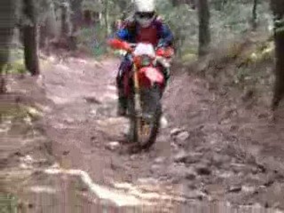 arno en rieju mrx